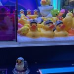 IMG_0449-2.jpeg