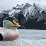IMG_0528-2.jpeg