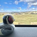 IMG_9564-1.jpeg