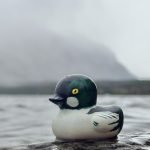 IMG_9813-0.jpeg