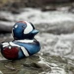 IMG_9823-1.jpeg