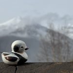 IMG_9847-0.jpeg